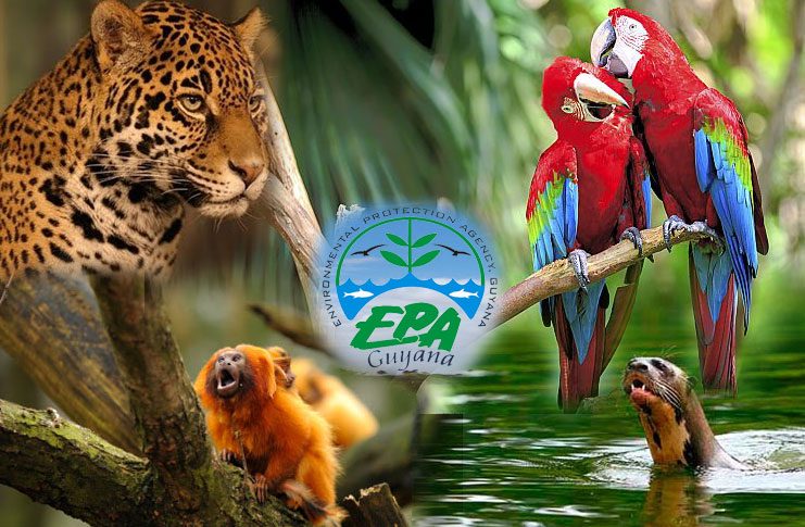 epa-741_environmental_protection_agency