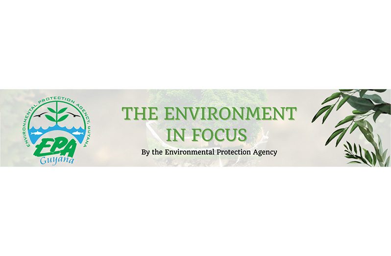 EPA