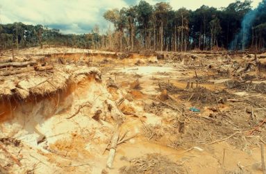 Impacts of gold mining in Upper Mazaruni, 2017