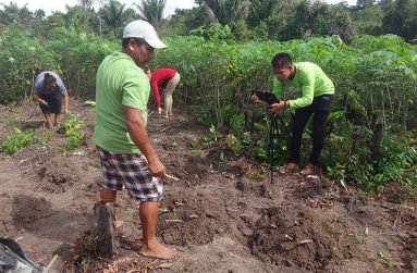 Community Researchers help the project team to gather video material and produce short videos that showcase the importance of traditional knowledge
