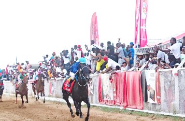 Easy Time will return to defend his Guyana Cup title on August 11