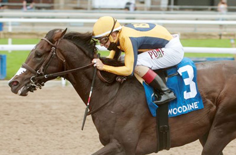 Easy Time wins the 2021 Marine Stakes at Woodbine (Photo: Michael Burns)