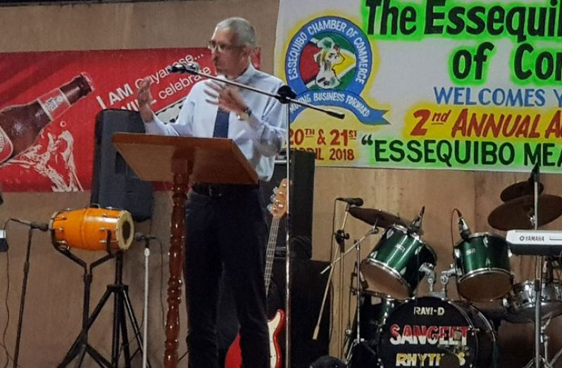 Minister of Business Dominic Gaskin addressing the opening of the Essequibo Agro Trade Fair 2018 Friday evening