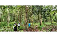 Villagers and visiting team from the GTA, in the process of identifying a suitable location for the Eco- Lodges