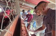 Minister Ramraj and team collecting eggs at the farm
