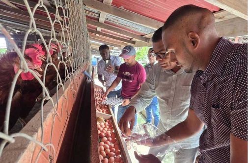 Minister Ramraj and team collecting eggs at the farm