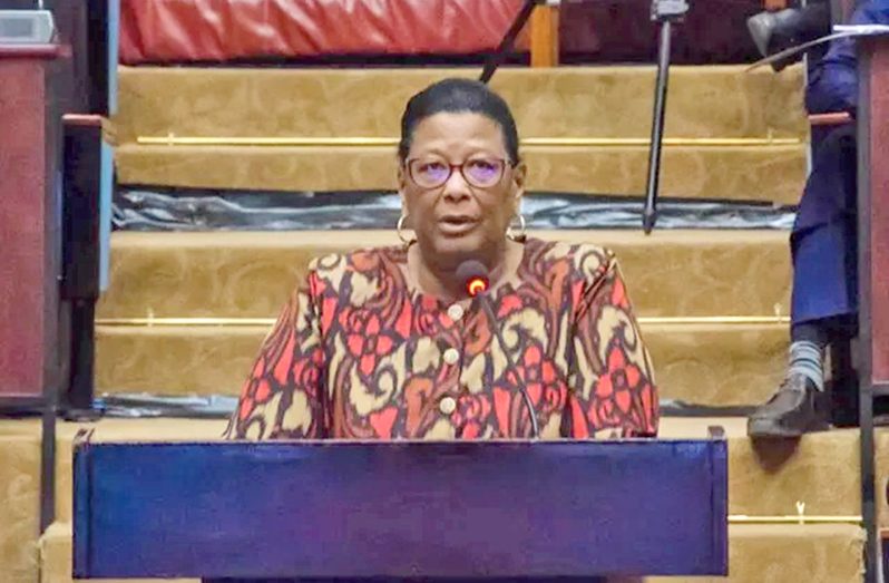 Her Excellency Ambassador Elisabeth Harper, Permanent Secretary of the Ministry of Foreign Affairs and International Cooperation
