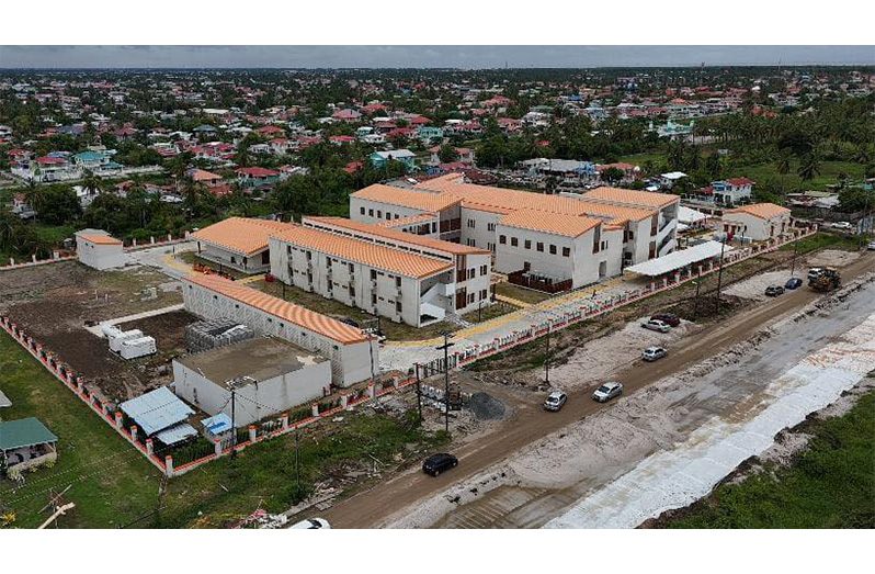 An aerial view of the Enmore Regional Hospital