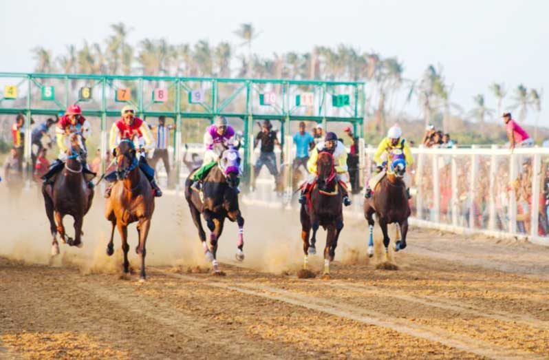 Action on December 15 at the Port Mourant Turf Club is expected to be hot