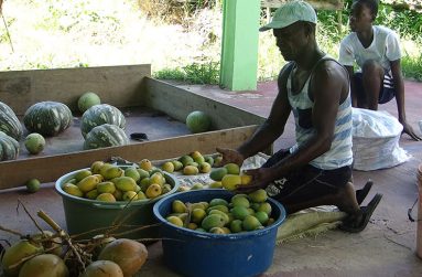 A fresh coconut drink