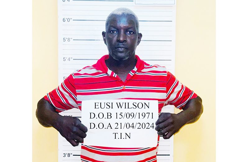 Jailed: Eusi Wilson