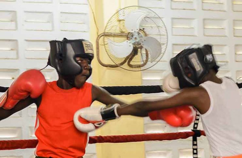 Part of yesterday’s action between Stephano McDonald (left) and Joel Anthony at the Andrew `Six Head’ Lewis gym during the GBA’s Mike Parris Schoolboys and Juniors championships. (Photo by Delano Williams)