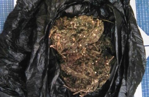 'F' Division Cannabis