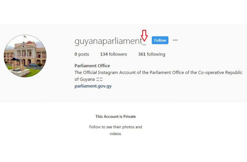 The fake Parliament Instagram account