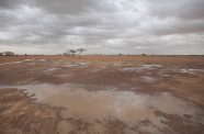 Moments after a heavy rainfall on a desertic area in Dori, Burkina Faso.