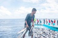Fishing off the Maldives (FAO photo)