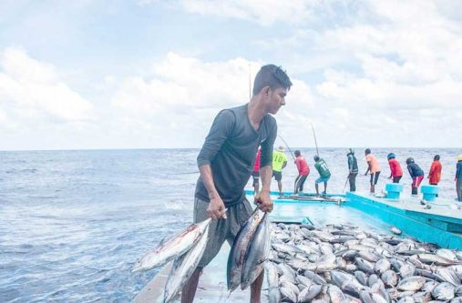 Fishing off the Maldives (FAO photo)