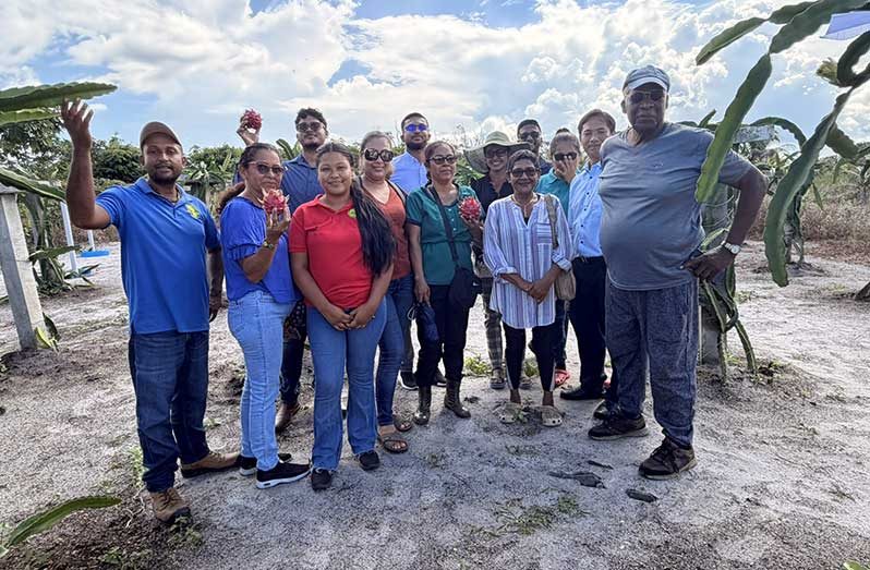 Dragon fruit farmers from Soesdyke-Linden Highway and St Cuthbert's Mission