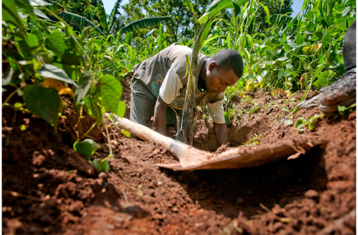 A farmer preparing soil in Kenya