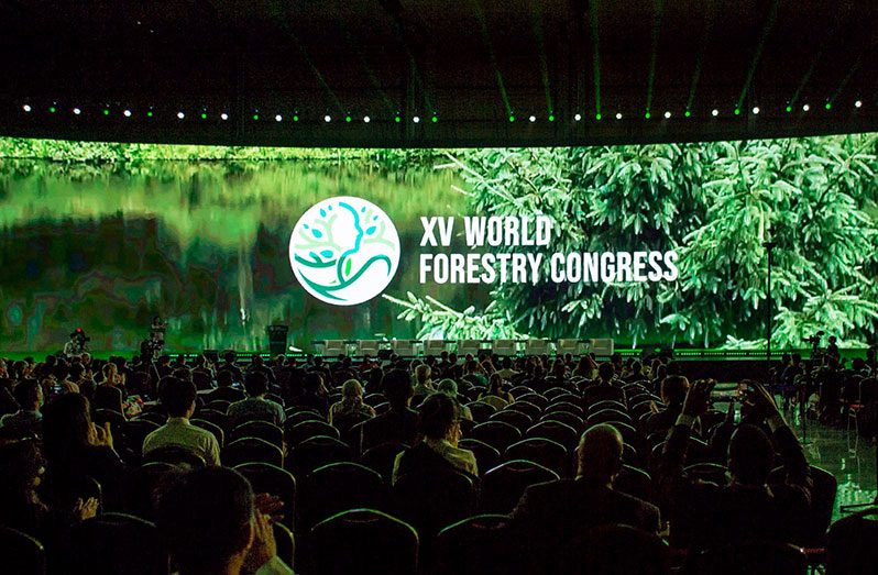 The Seoul Forest Declaration sends a powerful message that forests, forestry and forest stakeholders offer major solutions to the climate crisis