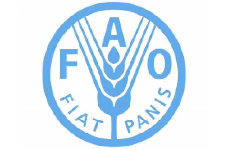 FAO