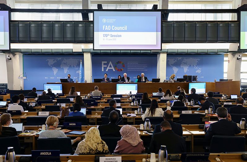 The 170th session of the FAO Council is taking place at FAO Headquarters in Rome (FAO photo)