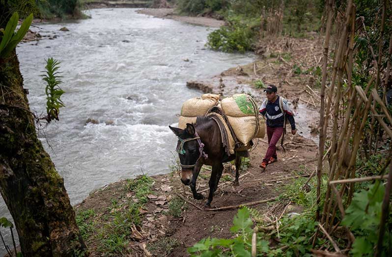 These integrated agrifood system solutions will make a difference to lives, livelihoods and the planet