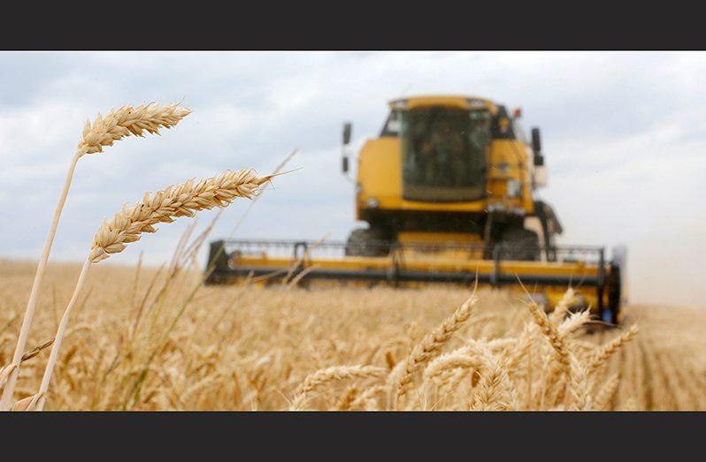 International wheat prices fell by 5.7 per cent in June