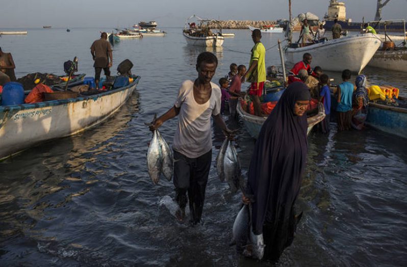 Somali fishers carrying their catch ashore