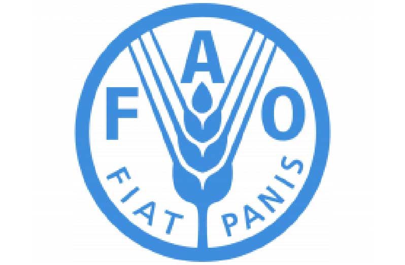 FAO