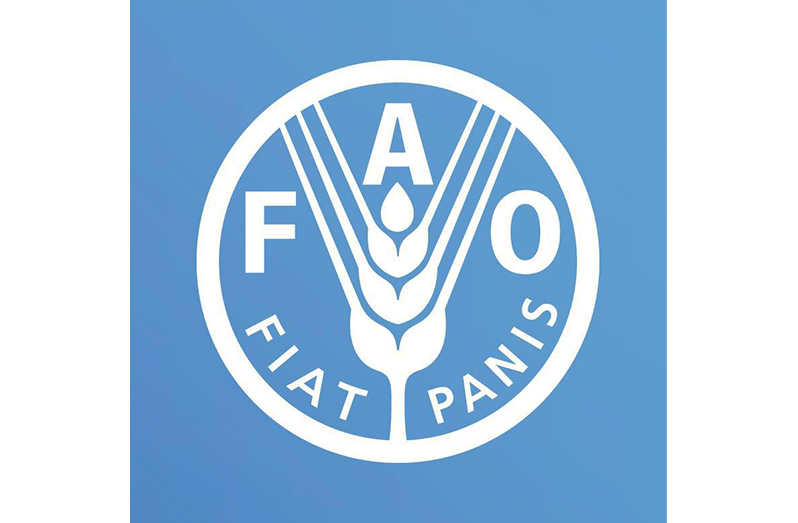 FAO