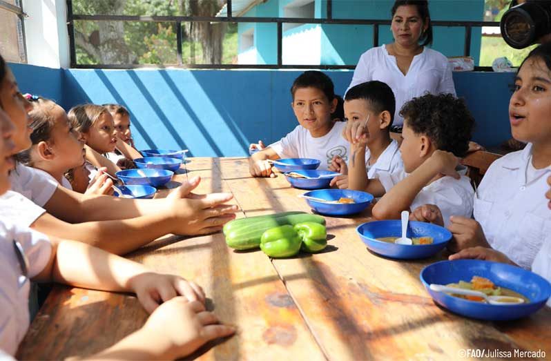 FAO promotes inclusion of local fish in LAC school feeding programmes