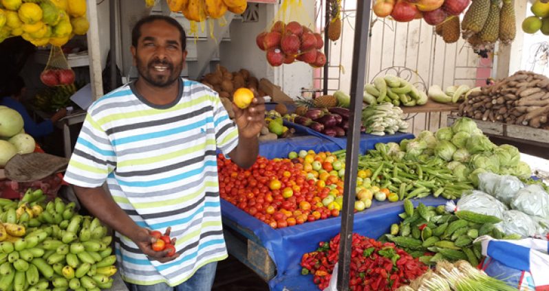 Farmer Chaterpaul Bharrat displaying the differences in size and texture in tomatoes that received insufficient water, as many other fruits and vegetables have taken a beating under El Nino weather conditions