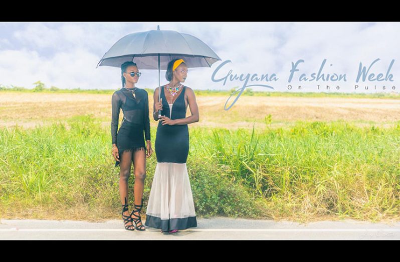 A ‘promo’ poster with GFW models Nkechi Vaughn and Meleesa Payne (Photo courtesy  Jay Carter)