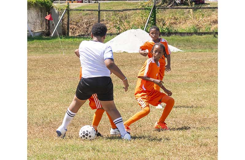FE Pollard vs  St Aloysius in action