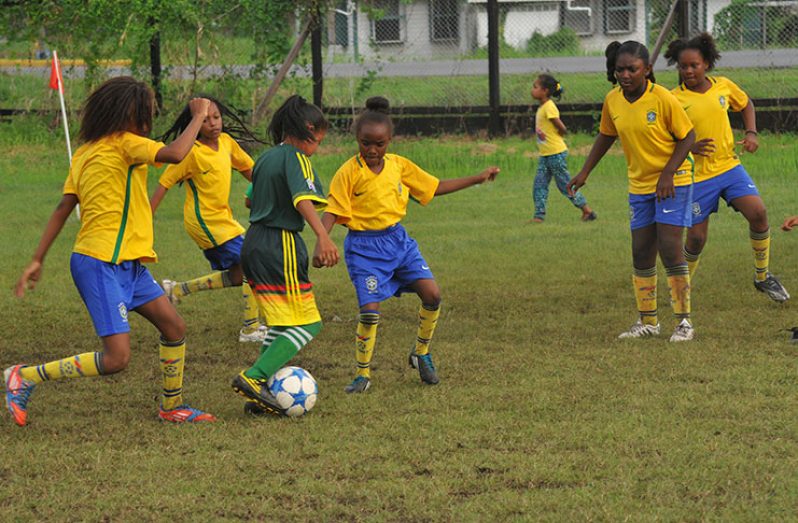 The final of this year’s MoPH Smalta Girls u-11 Football tournament is expected to be a tense affair today at the Ministry of Education Ground (Adrian Narine Photo)