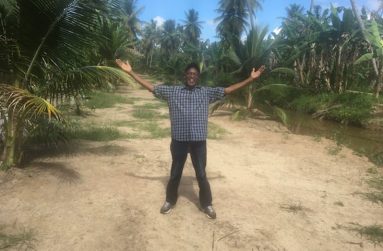 Farrier among the hundreds of coconut palm trees at the Stoll Coconut Estate at Enterprise on the Pomeroon River in Region Two