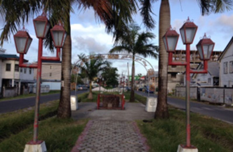 Young Century palms at the Dr Walter Rodney Monument on Hadfield Street in Georgetown. (Photo by FQ Farrier)