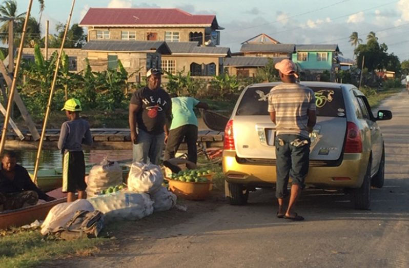 Farmers of Victoria about to send off some of their produce to market on November 9, 2019 (Photo by F.Q. Farrier)