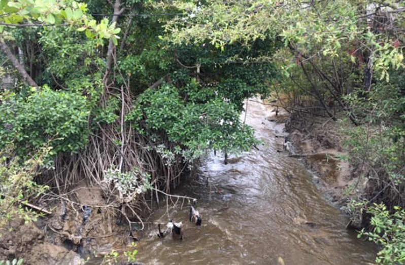 The clogged-up koker out-fall at the northern side of the John Fernandes Ltd. wharf.