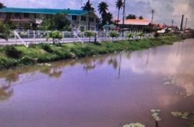The canal and the remnants of the once-functioning sugar factory at Anna Regina on the Essequibo Coast (Photo by F. Q. Farrier)