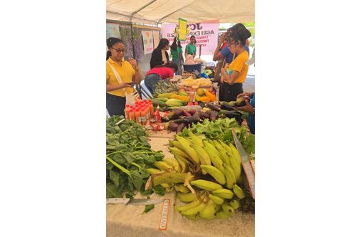 Students participate in the ‘Agro Fair’ at the Johanna Cecilia Secondary School in Region Two