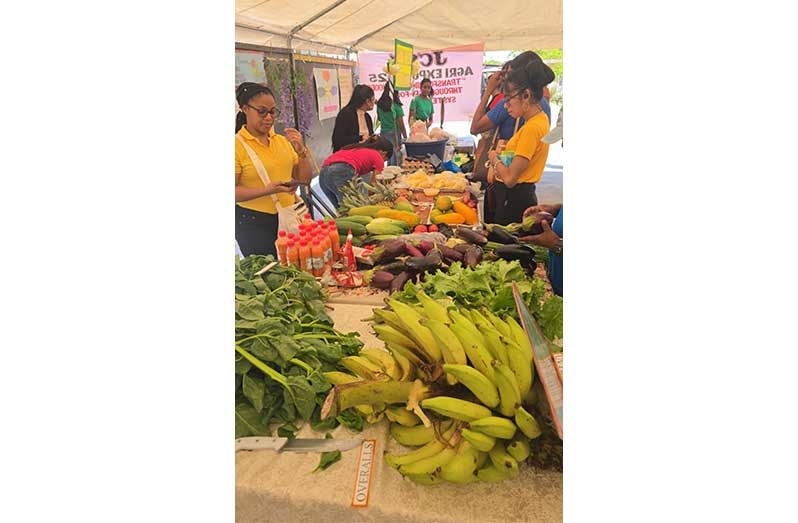 Students participate in the ‘Agro Fair’ at the Johanna Cecilia Secondary School in Region Two