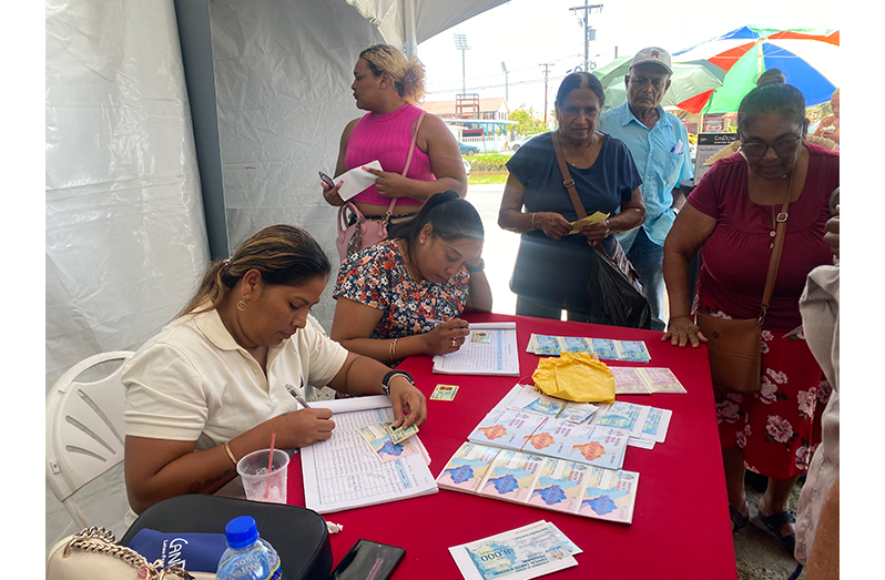 Persons accessing the health vouchers