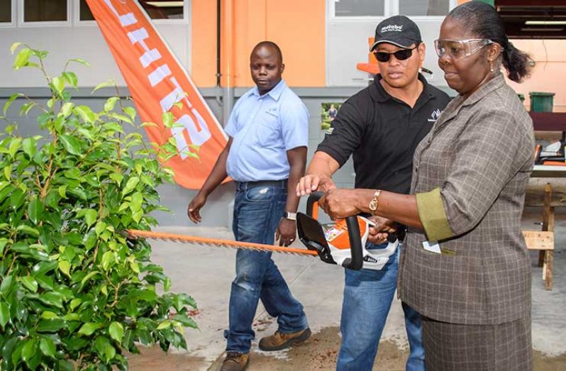 A patron trying out a new battery-operated hedge-cutter offered by Farfan and Mendes Limited