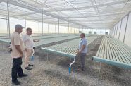 Agriculture Minister Zulfikar Mustapha on Monday visited the state-of-the-art AIEP hydroponic farm at Fort Wellington, West Coast Berbice