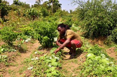Kurt Adams spends most of his time taking care of his farm (Adrian Narine photo)