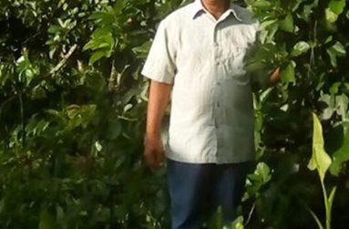 Jagdeo ‘Daado’ Badray with
some of his avocado trees
(Photo credit: Ravi Badray)