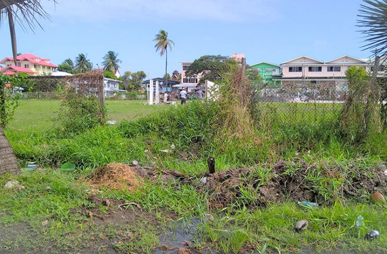 The Farnum Ground has been in a state of disrepair for some time now. Photo shows construction work progressing and the land being partitioned.