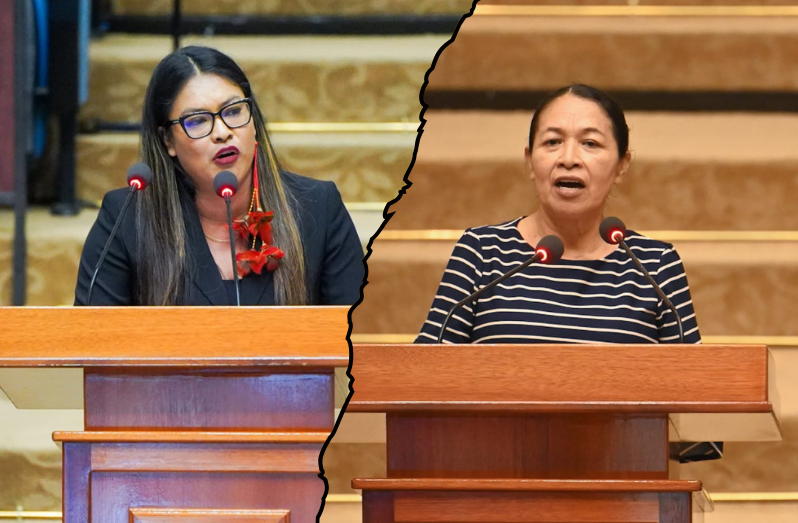 Minister of Amerindian Affairs, Sarah Browne, on Tuesday lambasted former A Partnership for National Unity (APNU) minister and current We Invest in Nationhood (WIN) Member of Parliament (MP), Dawn Hastings, for her silence during the atrocities faced by Amerindians during the 2015-2020 period.
